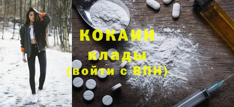 Кокаин Fish Scale  mega маркетплейс  Прохладный  что такое наркотик 